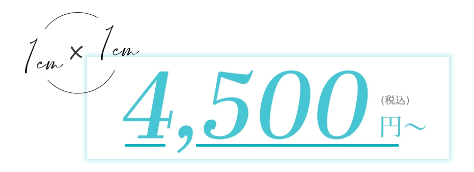 1cm×1cm 4,500円（税込）