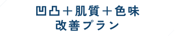 凹凸+肌質+色味改善プラン